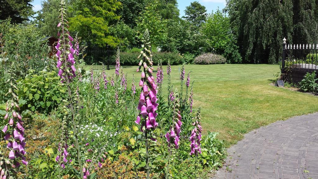 B&B Kasteel De Windt Nieuwkerken-Waas Экстерьер фото